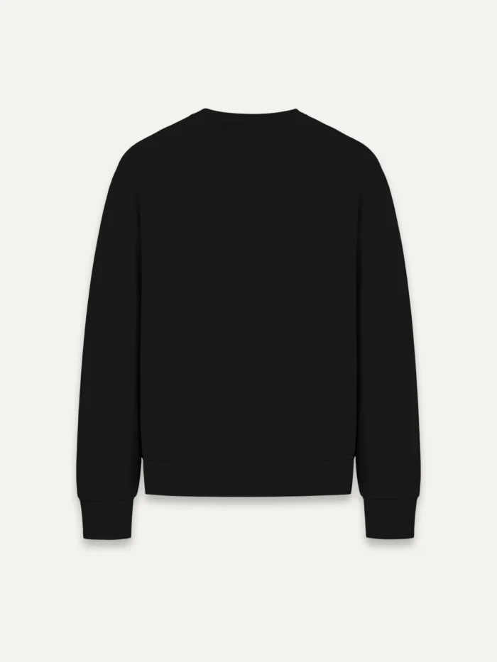 Back view of Horizon Mark organic cotton sweatshirt in Black Ink