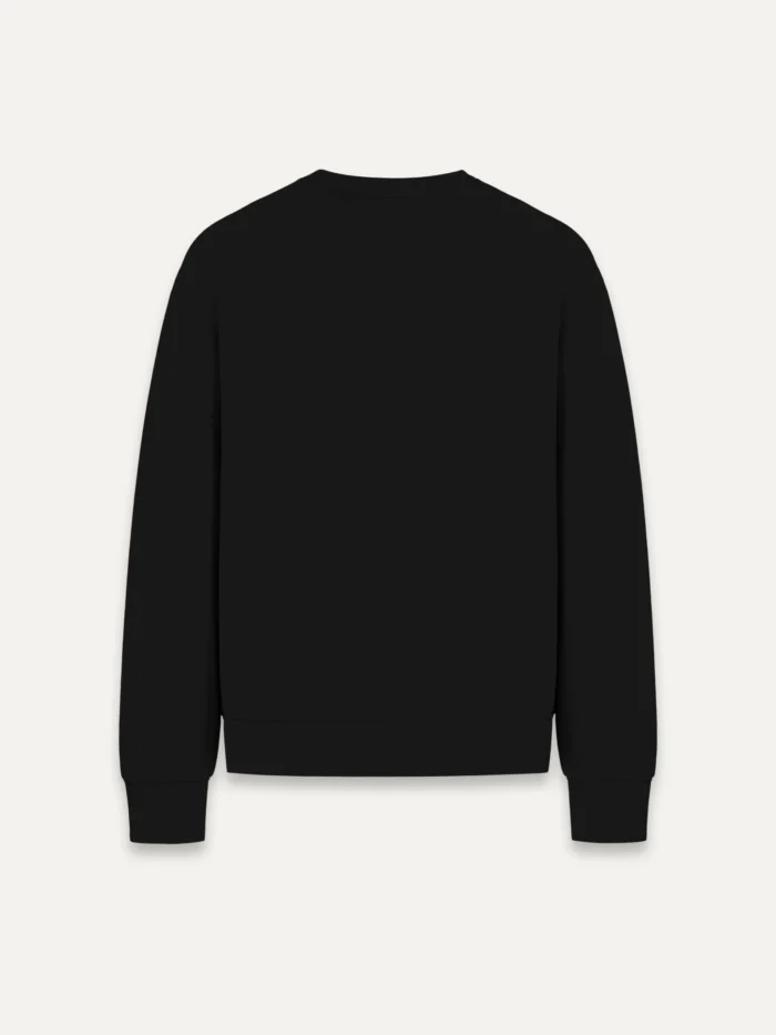 Surface & Root eco sweatshirt black back view