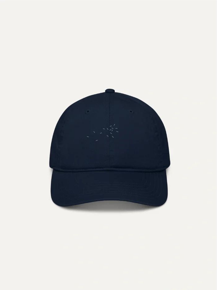 perception-radius-pacific-cap-front-with-ash-grey-embroidery