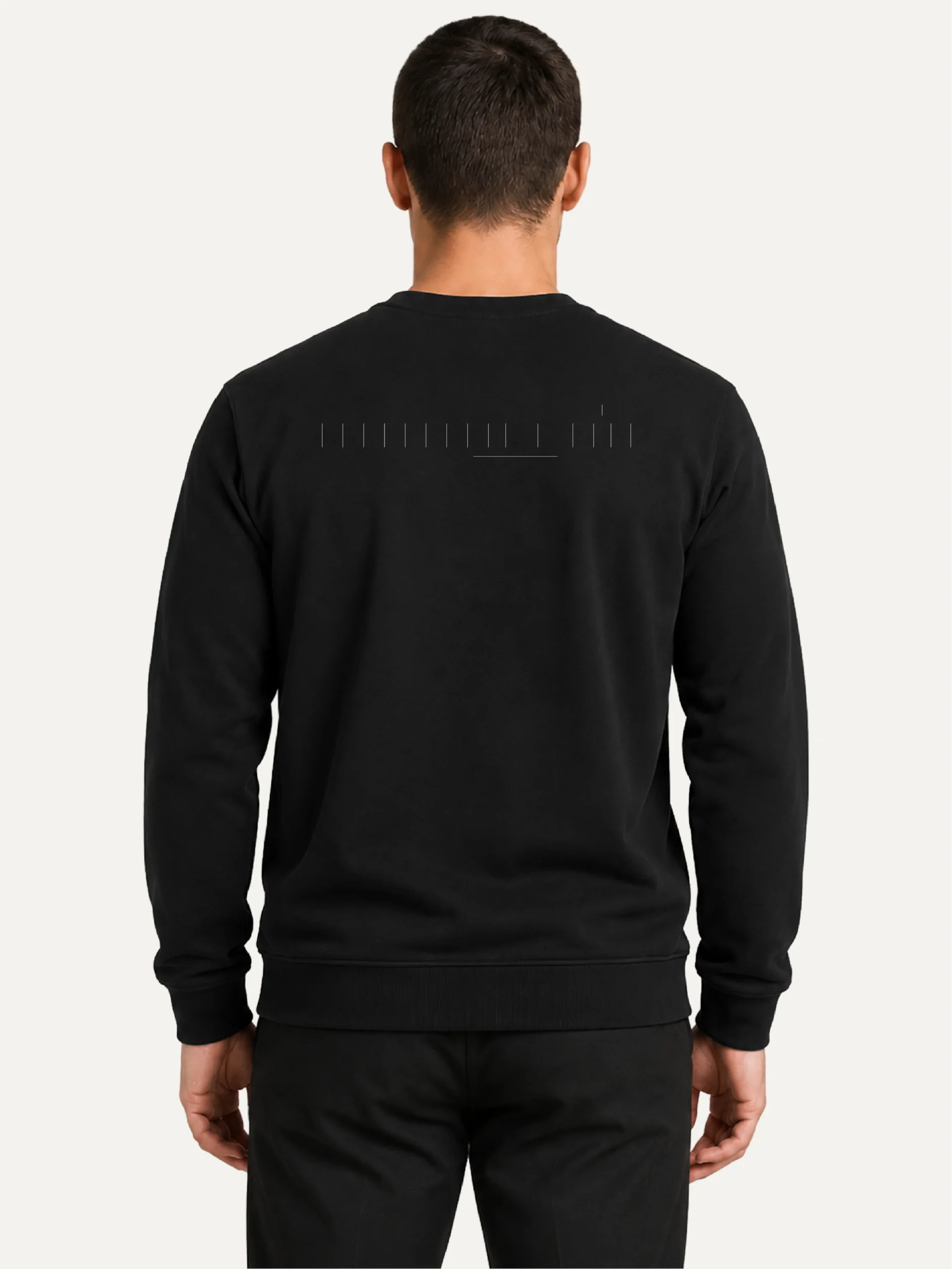 Male model wearing black Seasonal Index sweatshirt from the back