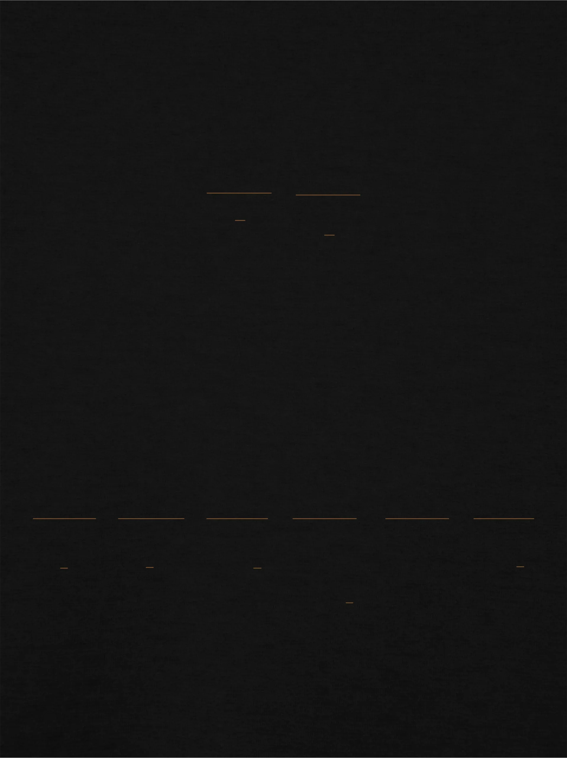 Muted earth-toned Return Interval linework printed on black cotton